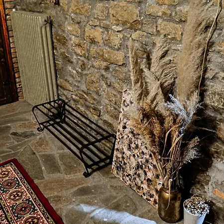 το πέτρινο σπιτάκι * 特里卡拉