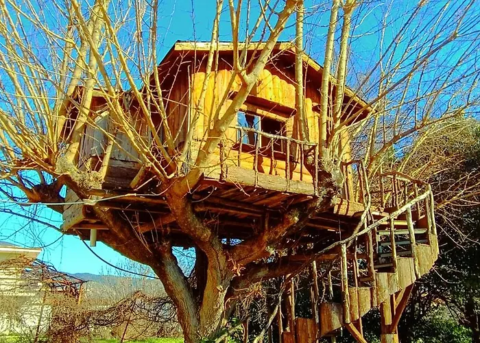 το πέτρινο σπιτάκι 公寓