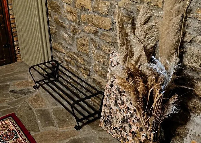 το πέτρινο σπιτάκι * 特里卡拉